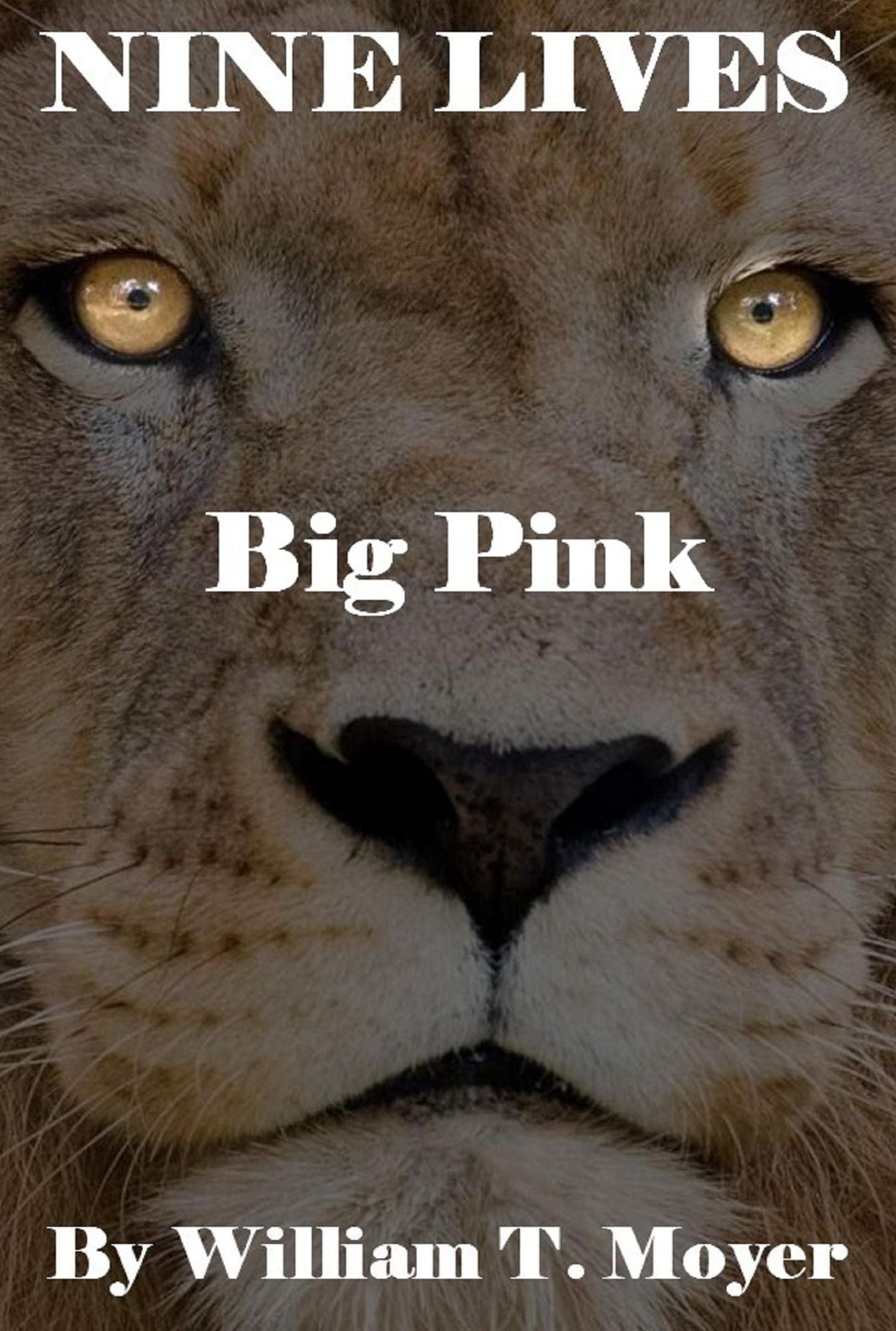 Big Pink