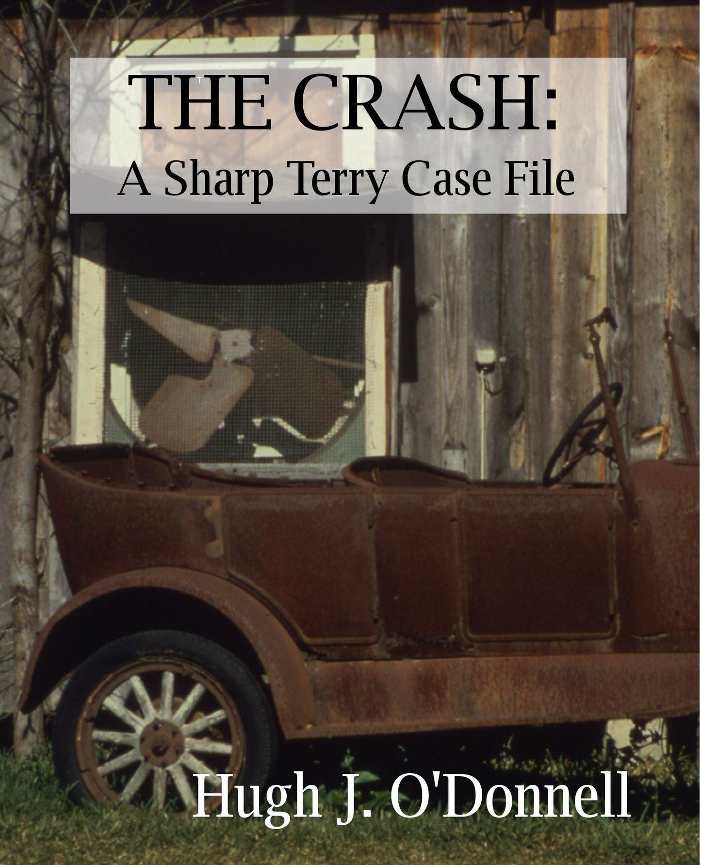 The Crash: A Sharp Terry Case File