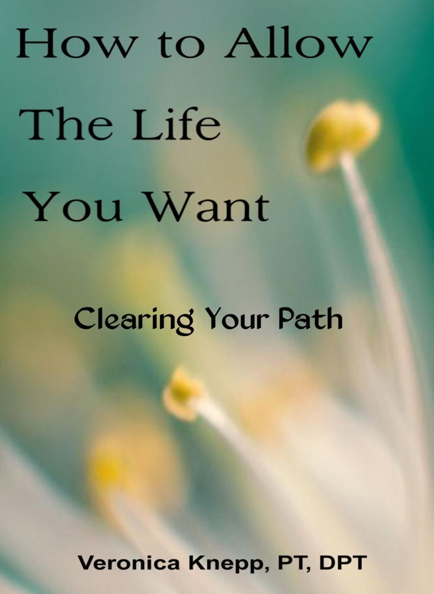 How to Allow the Life You Want: Clearing Your Path