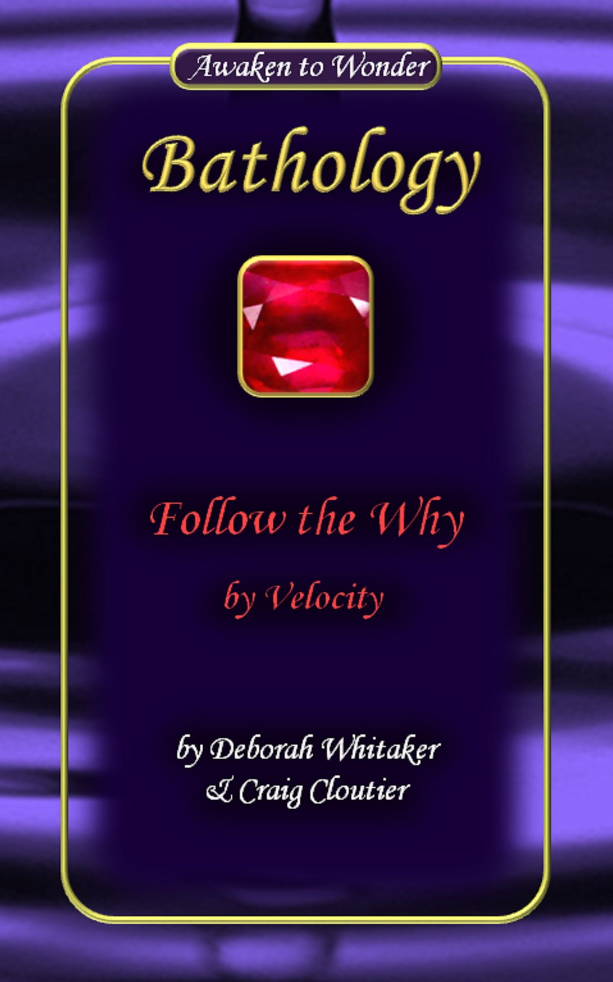 Follow the Why by Velocity Bathology Series