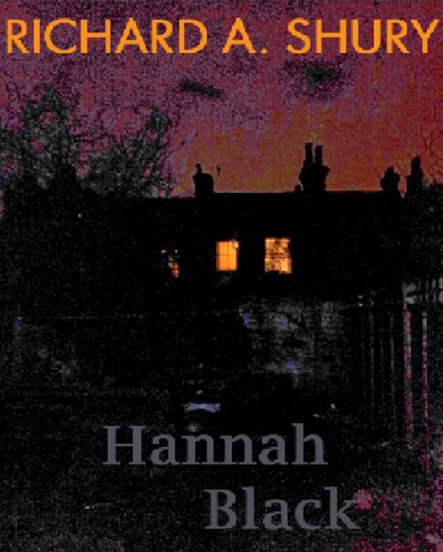 Hannah Black