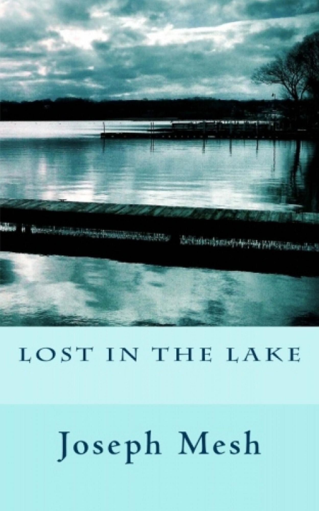 Lost in the Lake