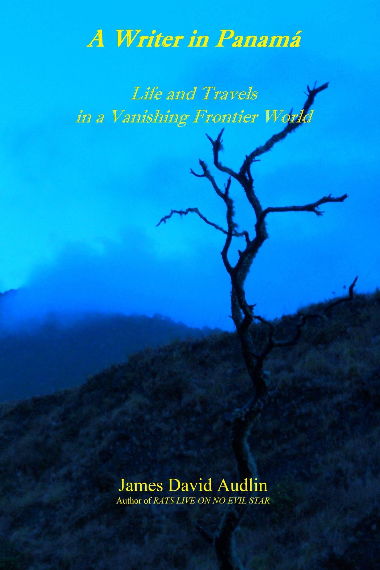 A Writer in Panama