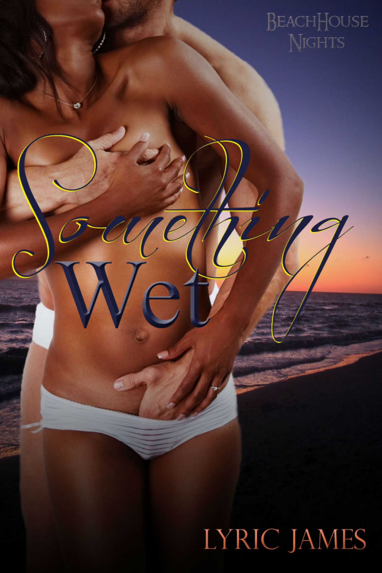 Something Wet: Beach House Nights Book 2