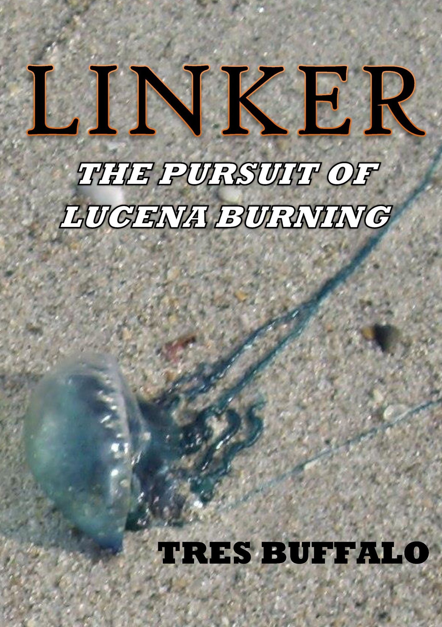 Linker: The Pursuit of Lucena Burning