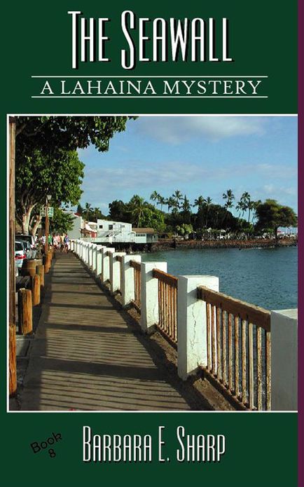 The Seawall: Book #8