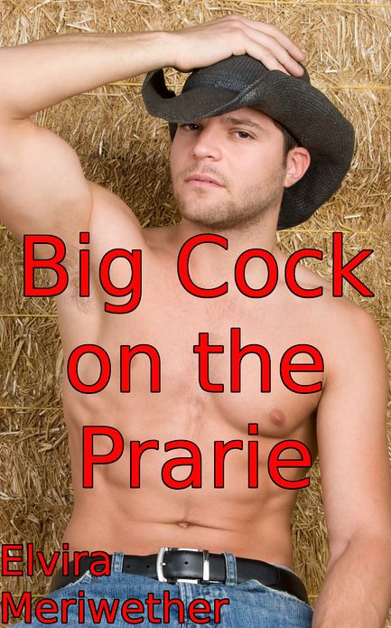 Big Cock on the Prarie
