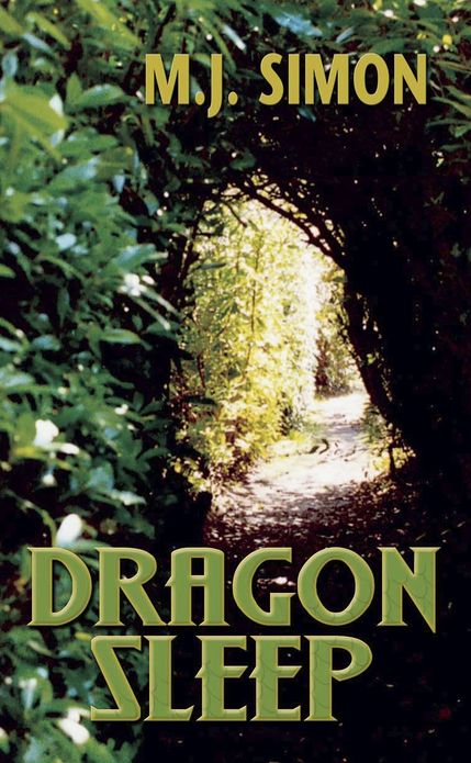 Dragon Sleep