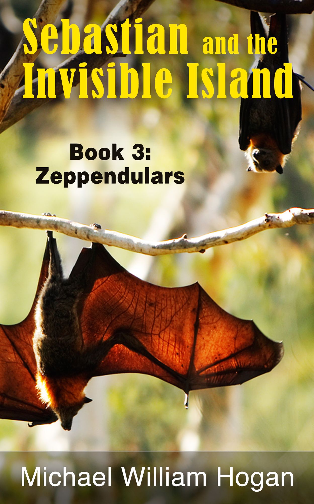 Sebastian and the Invisible Island, Book 3: Zeppendulars