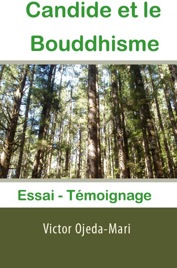 Candide et le Bouddhisme