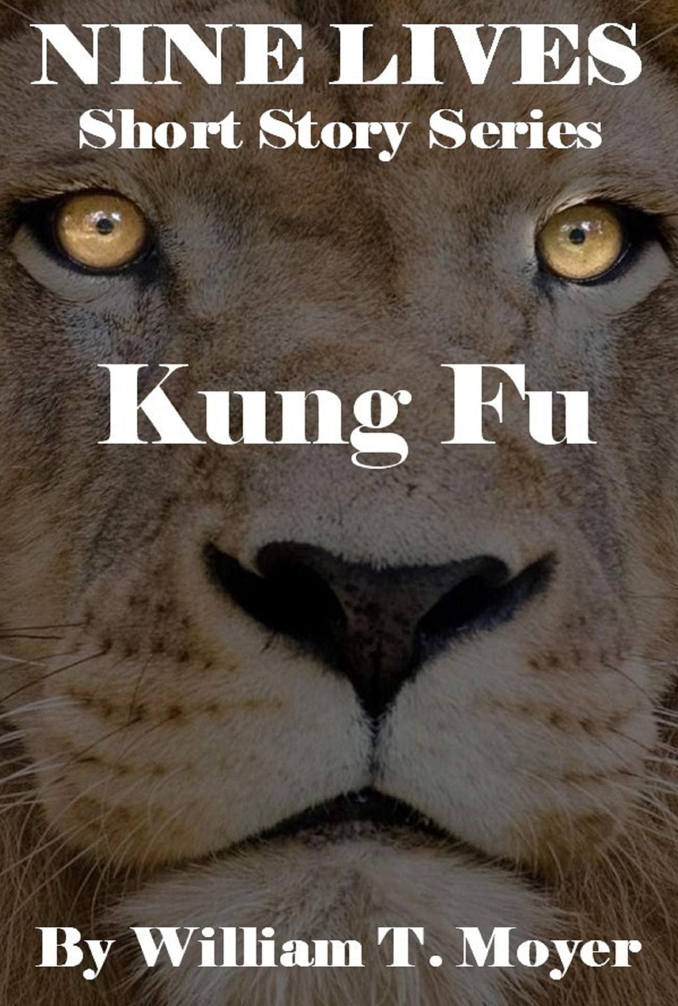 Kung Fu