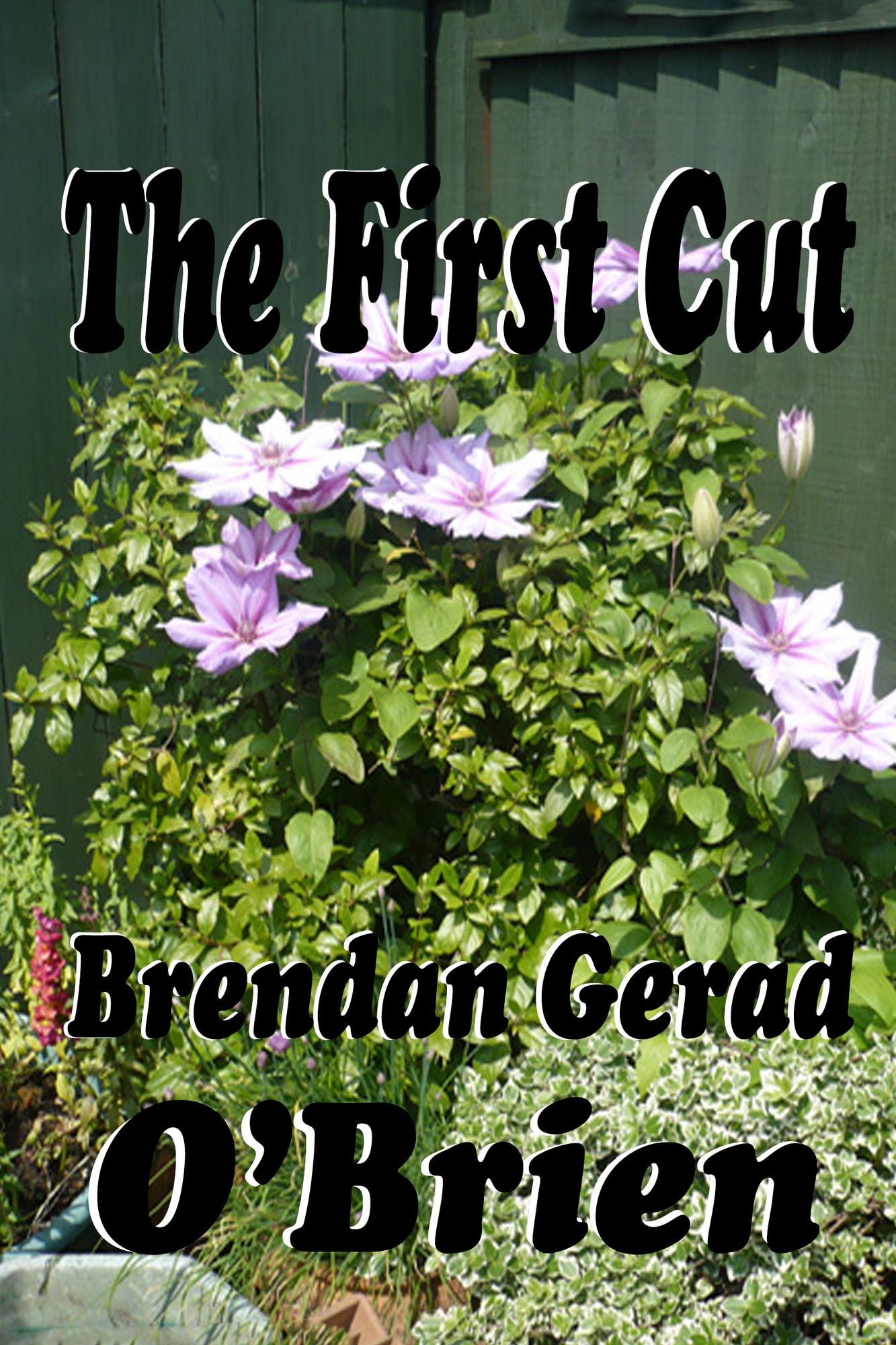 The First Cut