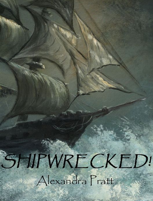 Shipwrecked!
