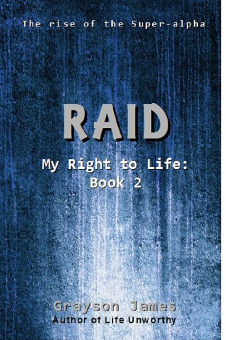 Raid