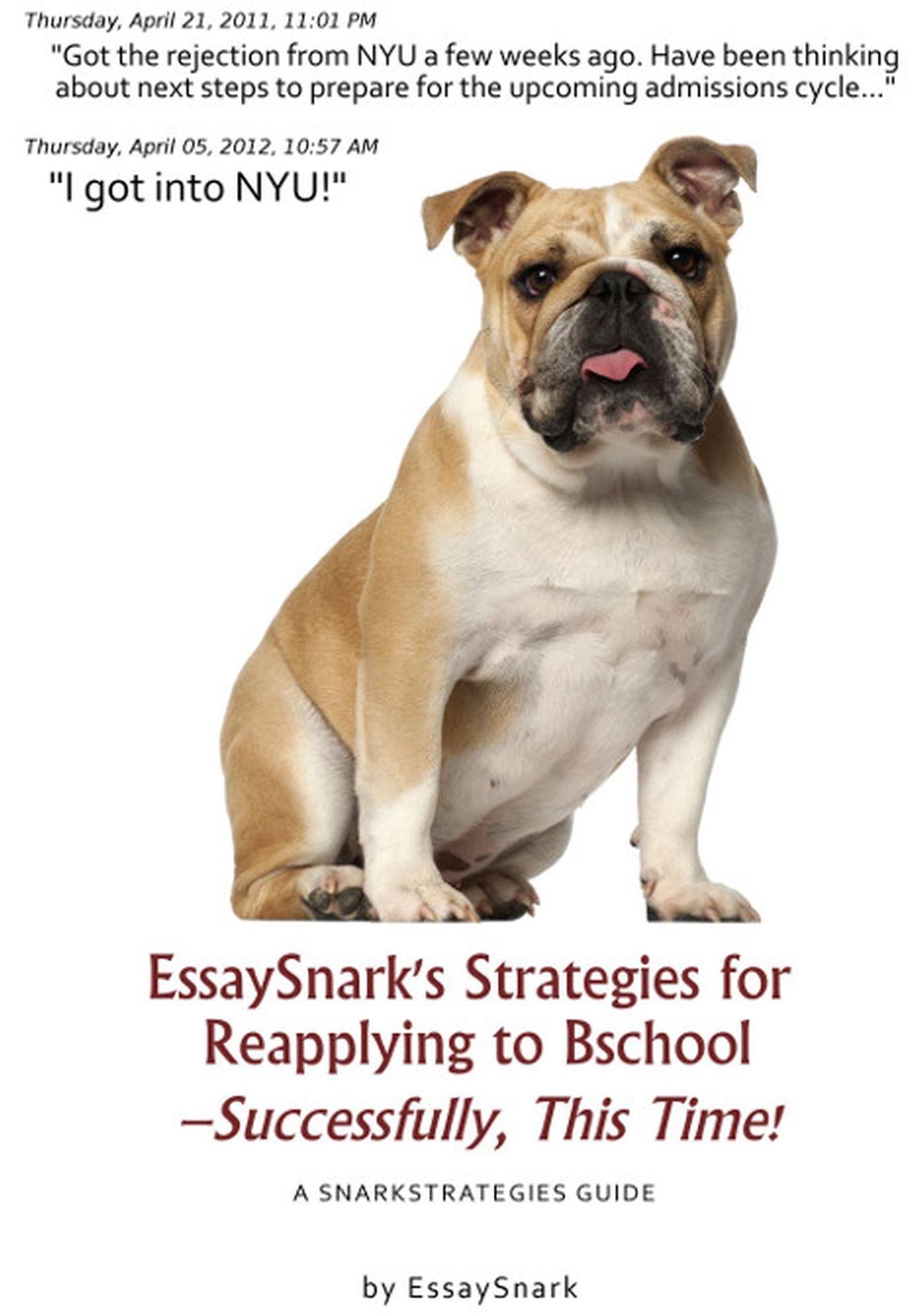 EssaySnark's Strategies for Reapplying to Bschool - Successfully, This Time!