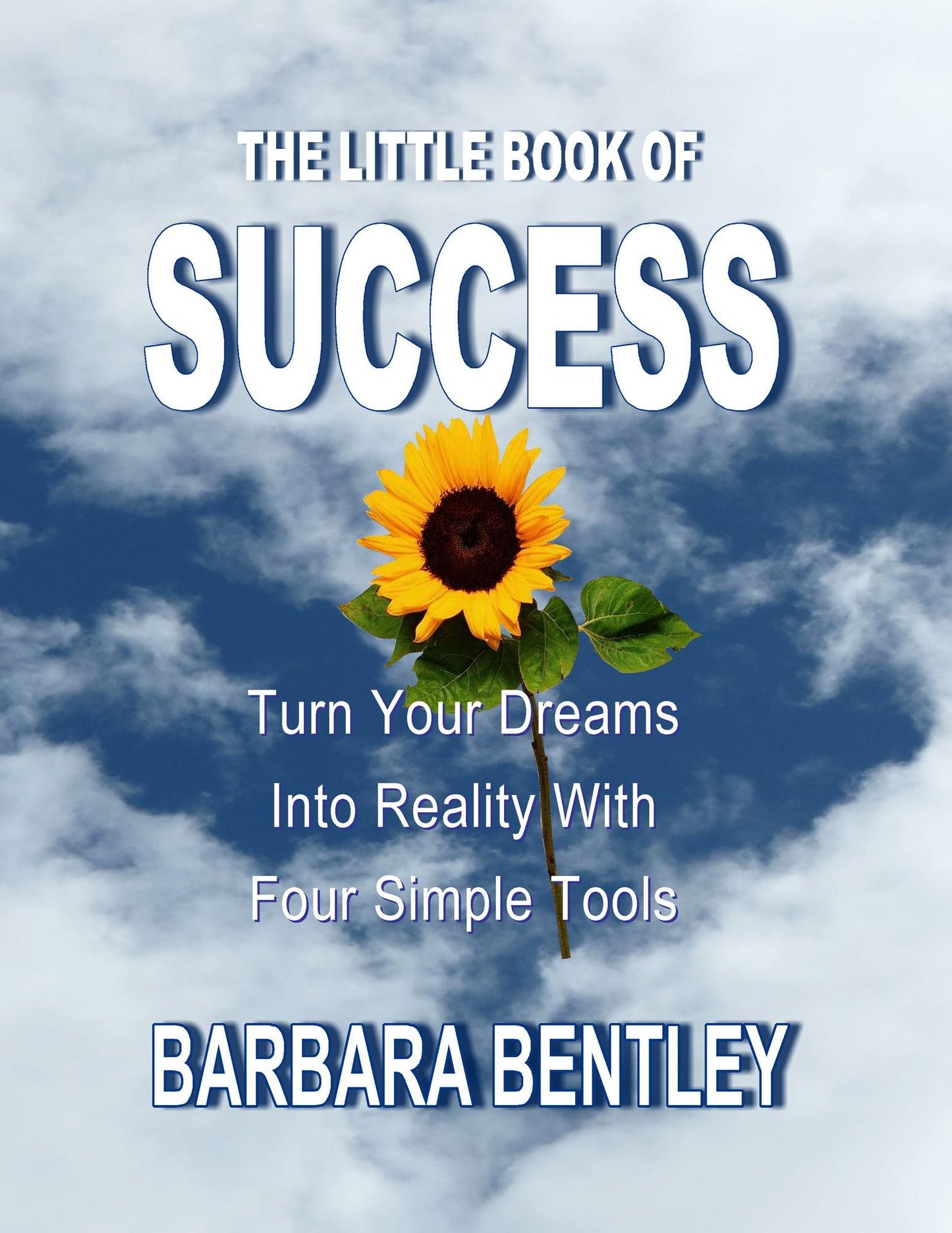 The Little Book of Success: Turn Your Dreams into Reality with Four Simple Tools