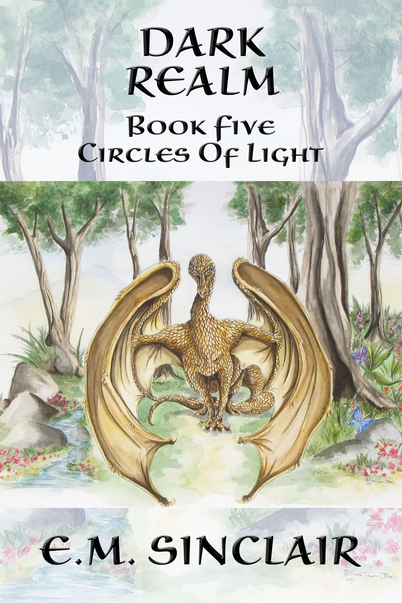 Dark Realm: Book 5 Circles of Light series