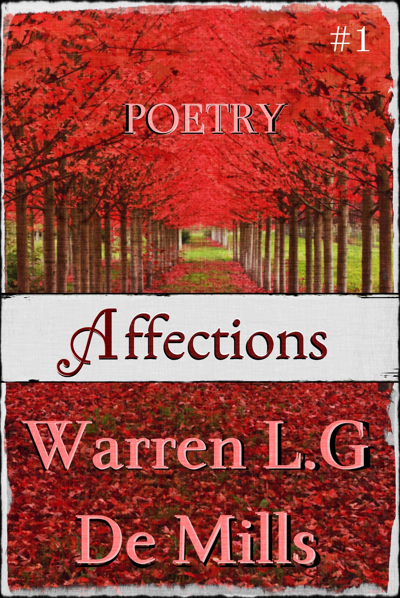 Affections: Collection of Poetry (Vol.1)