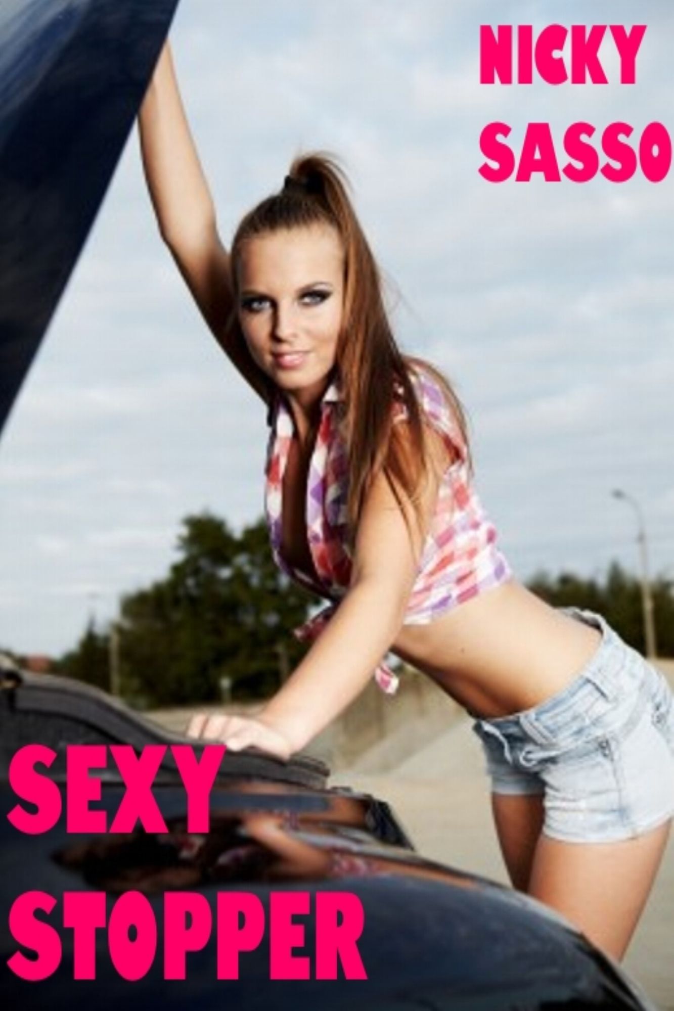 Sexy Stopper: Erotic story