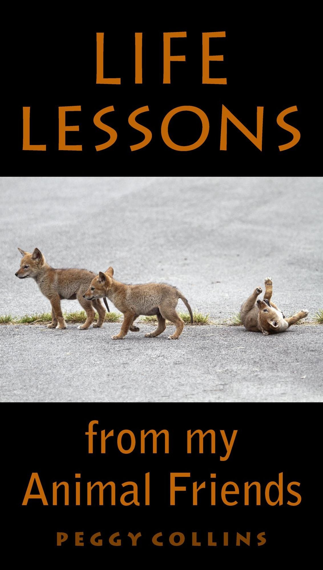 Life Lessons from My Animal Friends