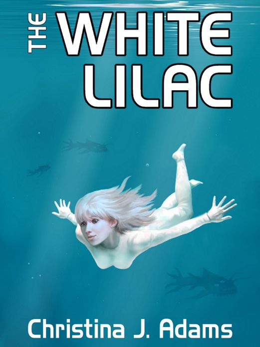 The White Lilac
