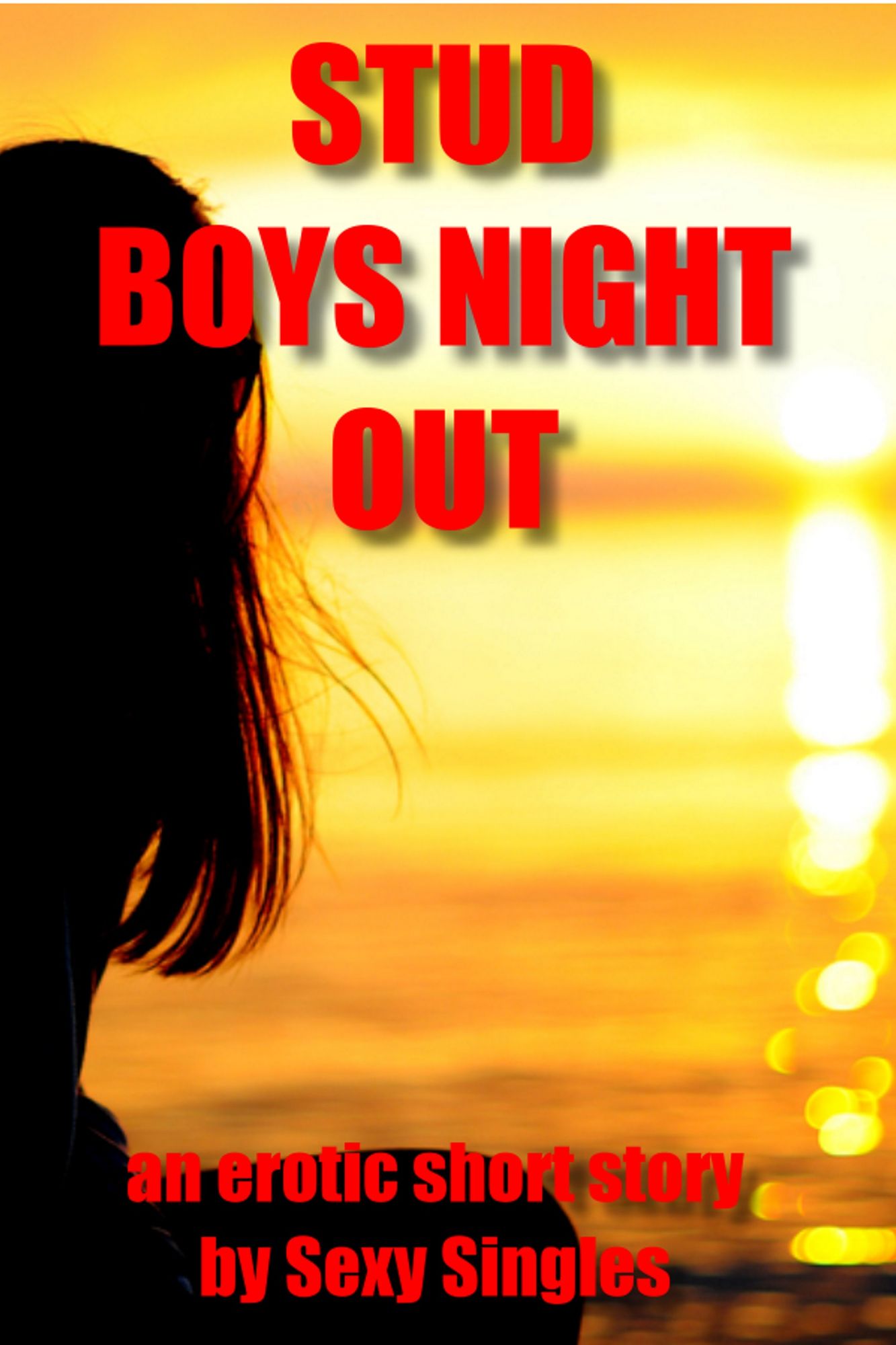 Stud Boy's Night Out