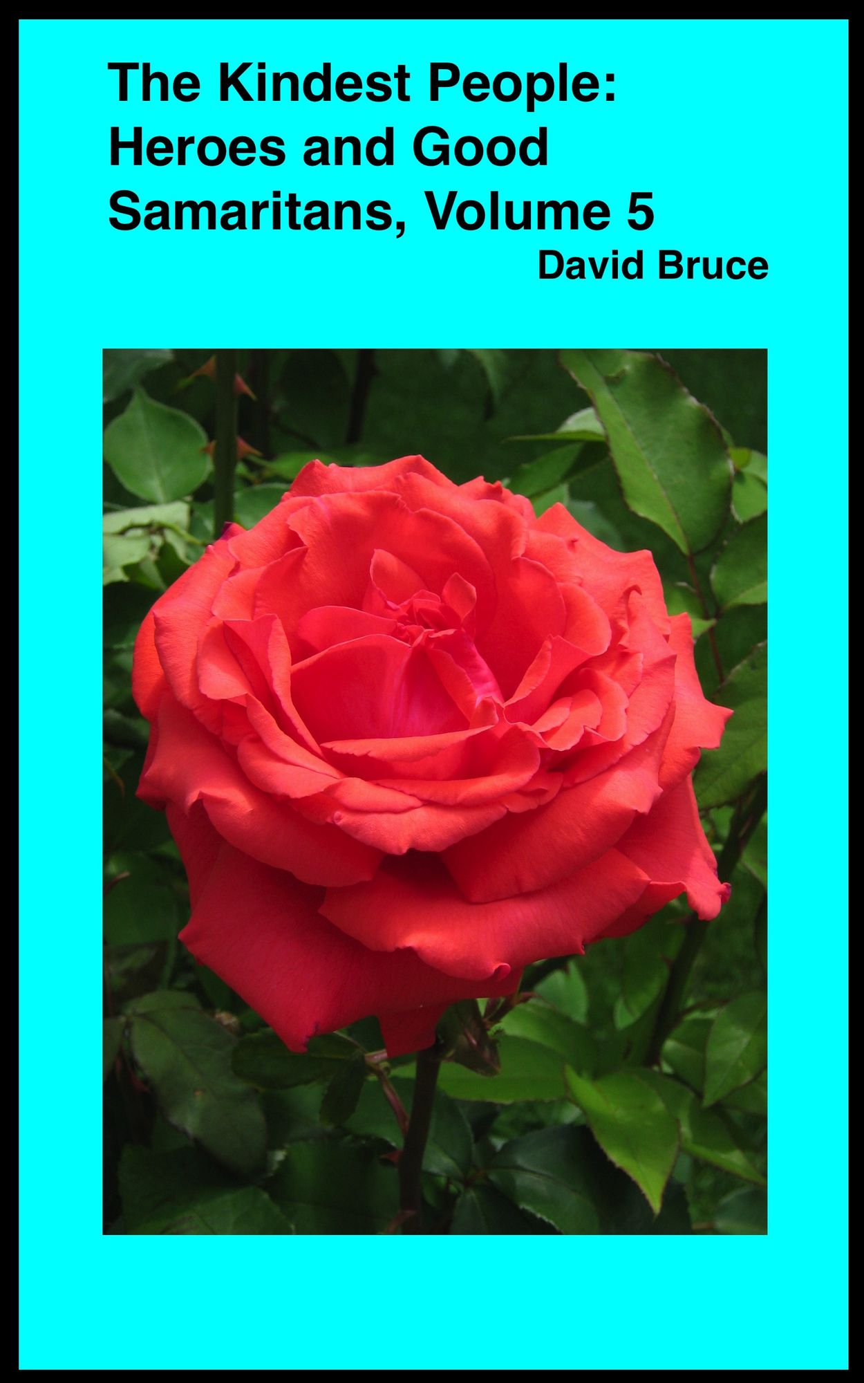 The Kindest People: Heroes and Good Samaritans (Volume 5)