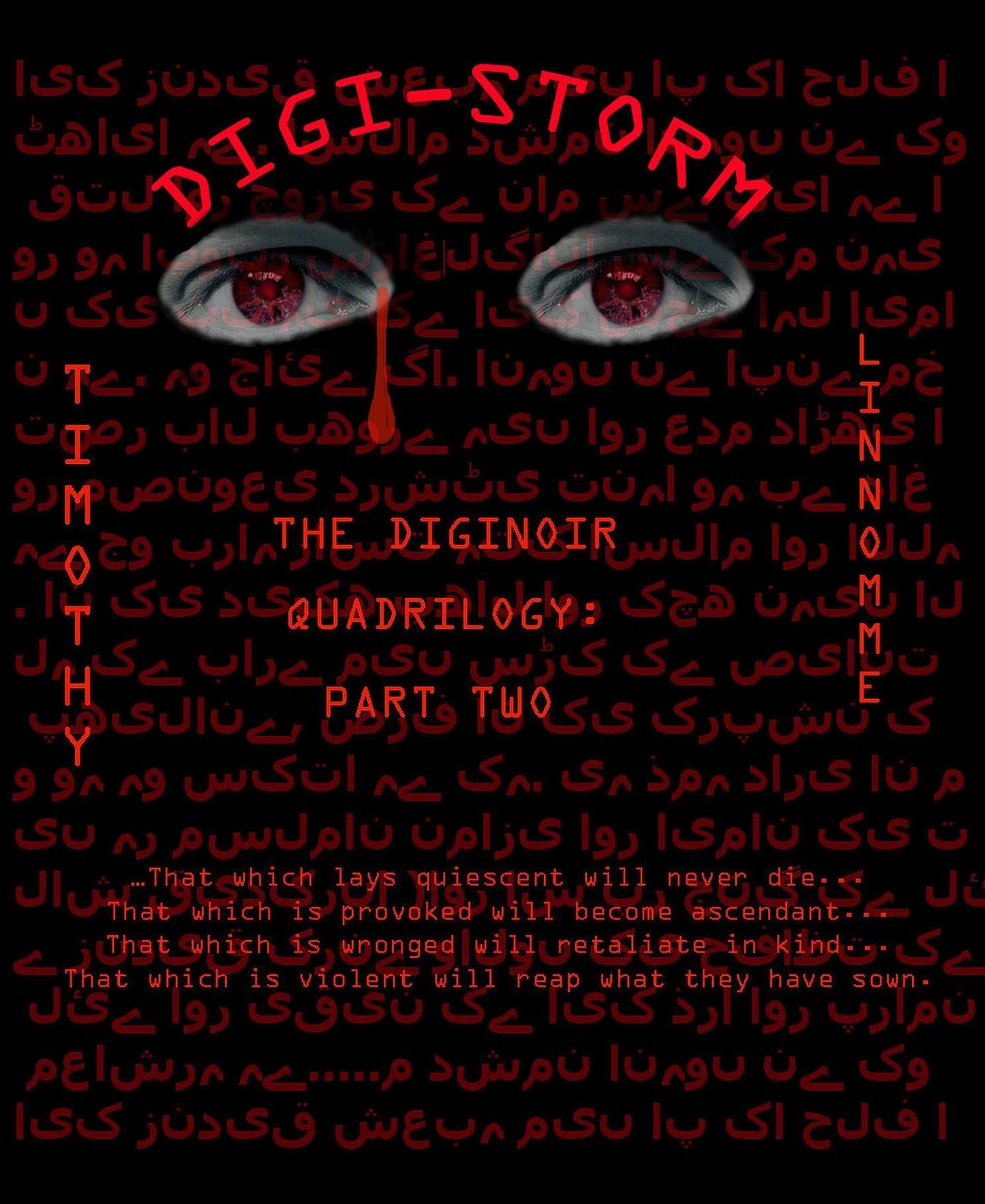 Digi-Storm (The Diginoir Quadrilogy)