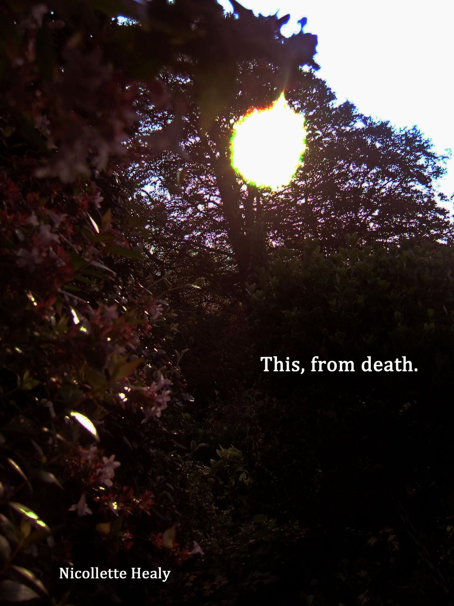 This, from death.