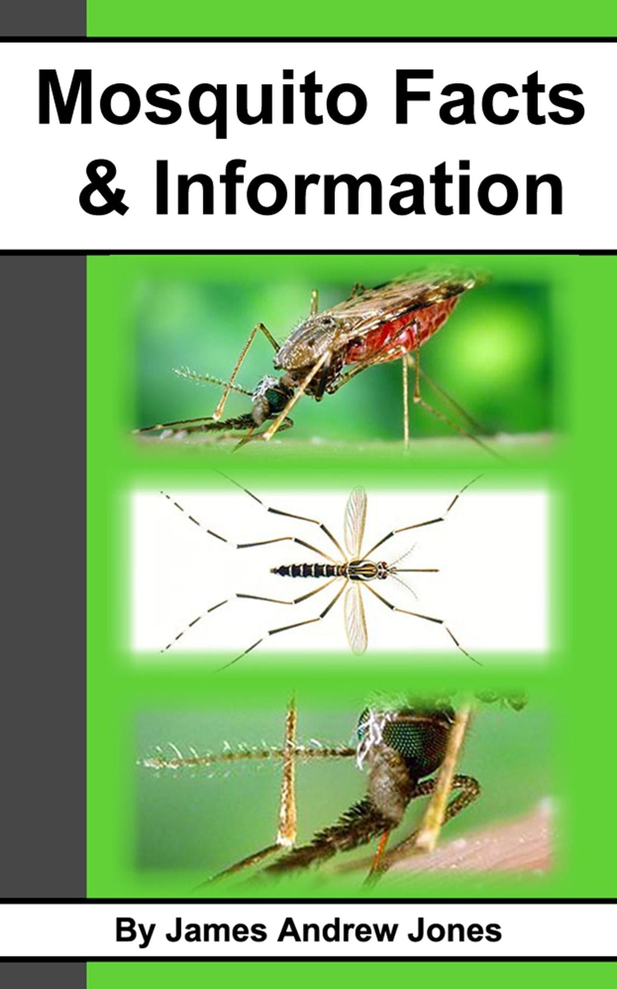 Mosquito Facts & Information
