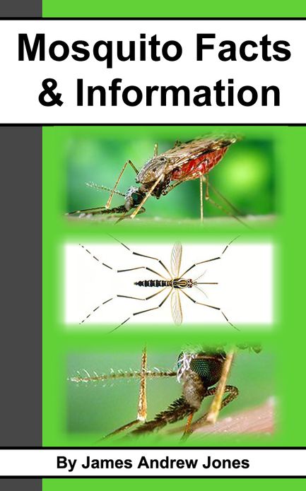 Mosquito Facts & Information