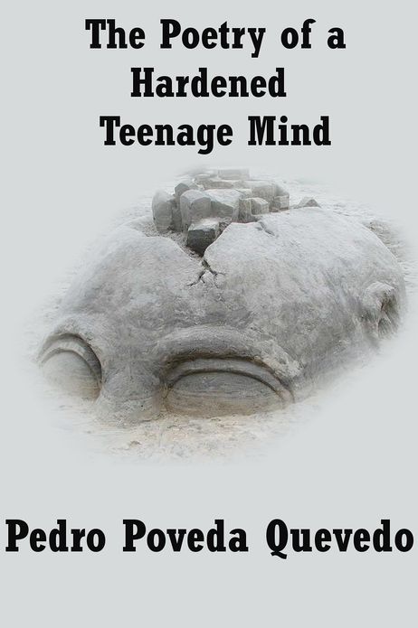 The Poetry of A Hardened Teenage Mind