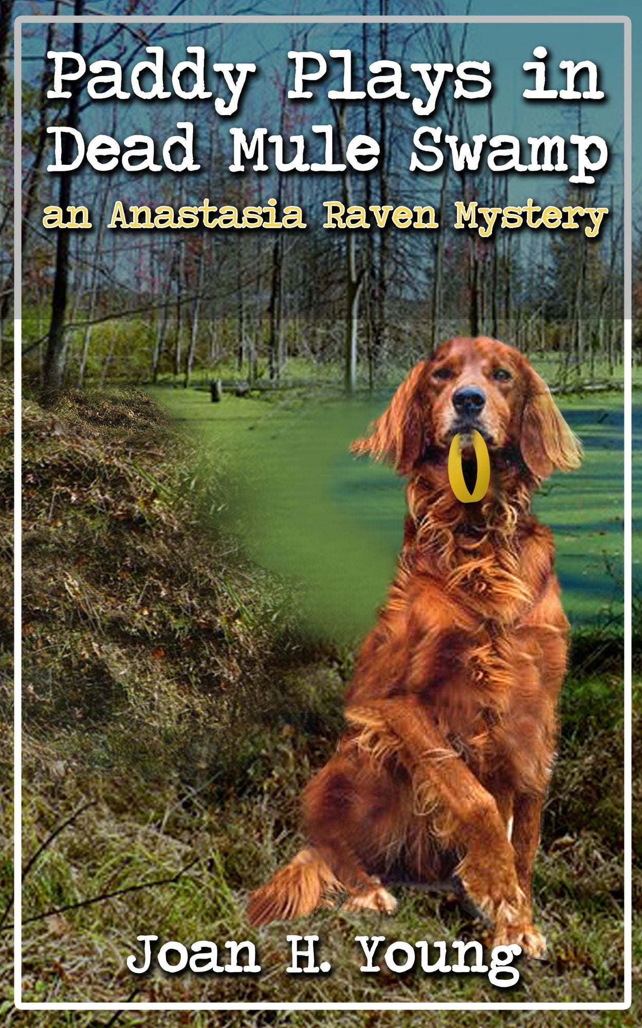 Paddy Plays in Dead Mule Swamp