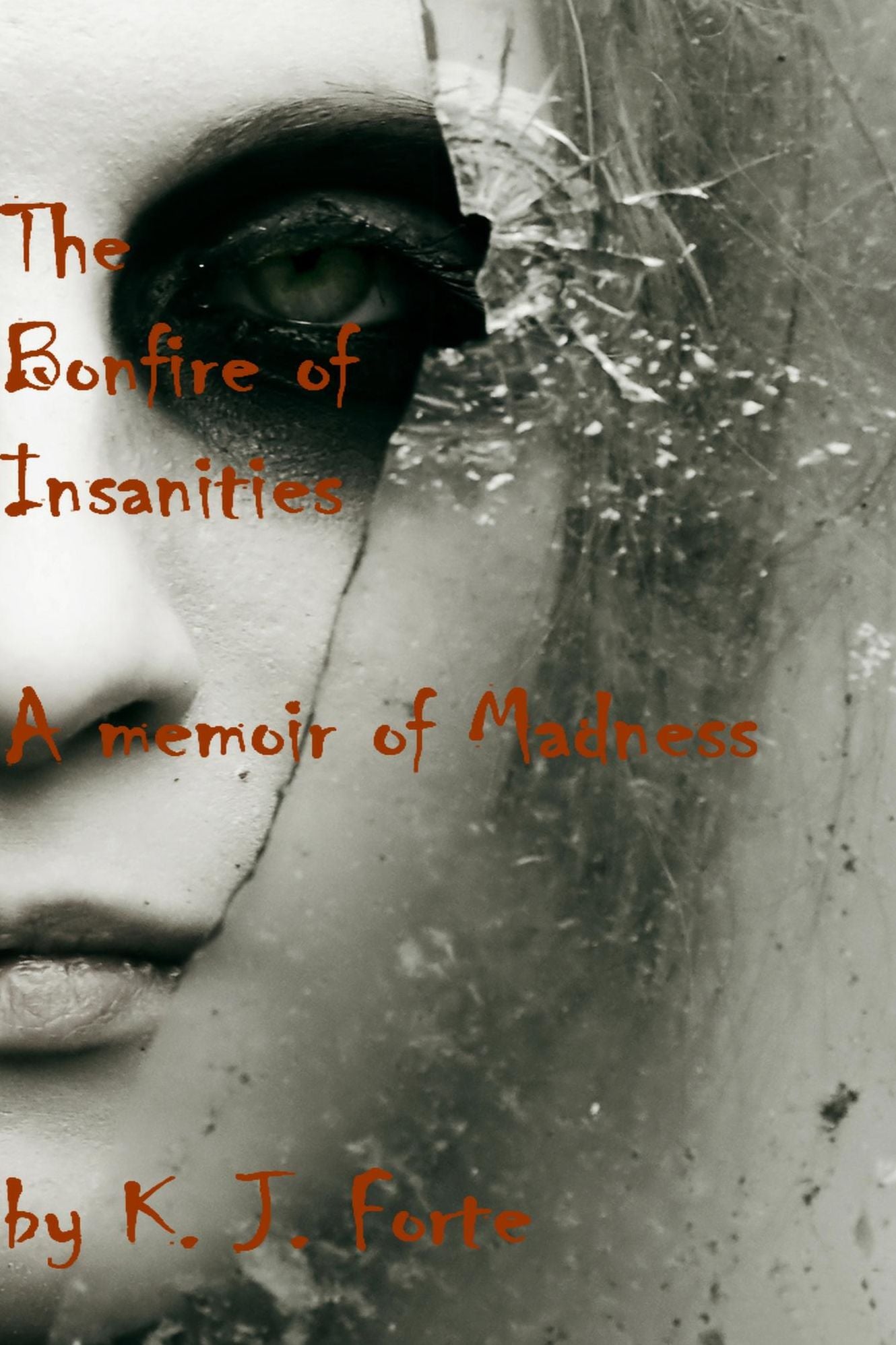 The Bonfire of the Insanities: A Memoir of Madness