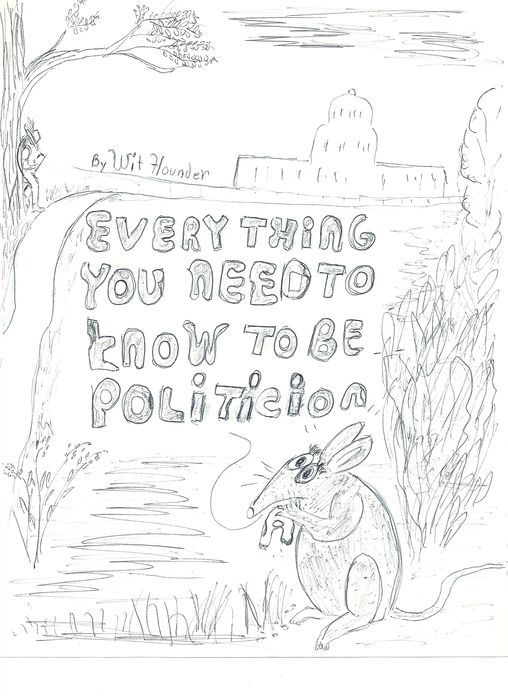 Everything You Need to Know to be a Politician