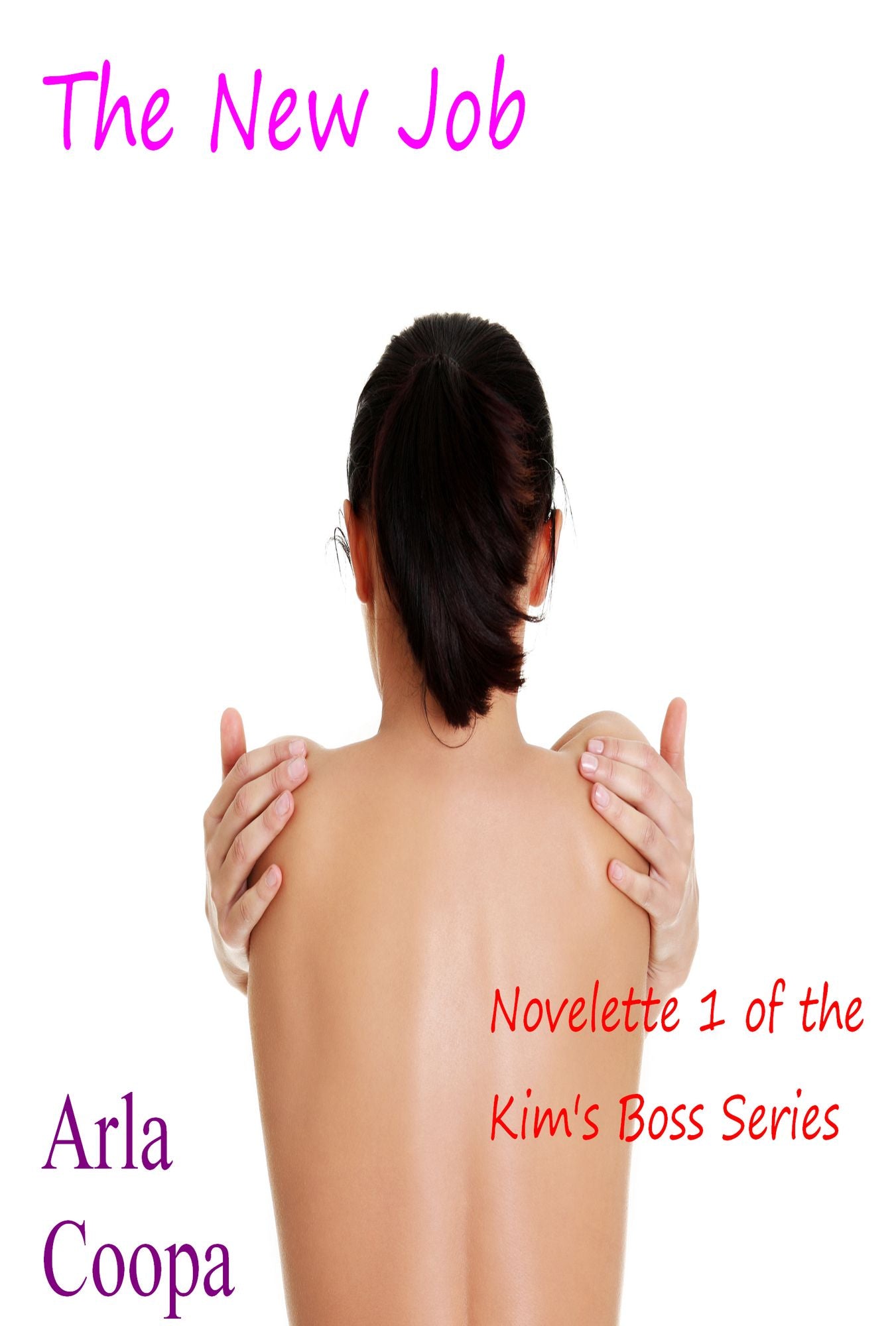 The New Job: Novelette 1 of the Kim's Boss Series
