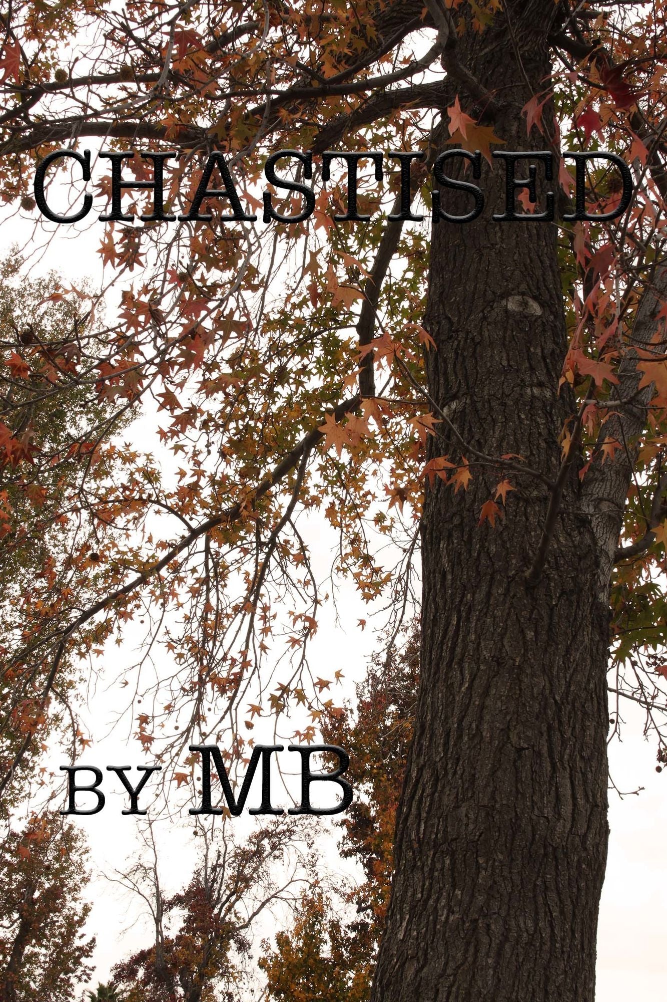 Chastised