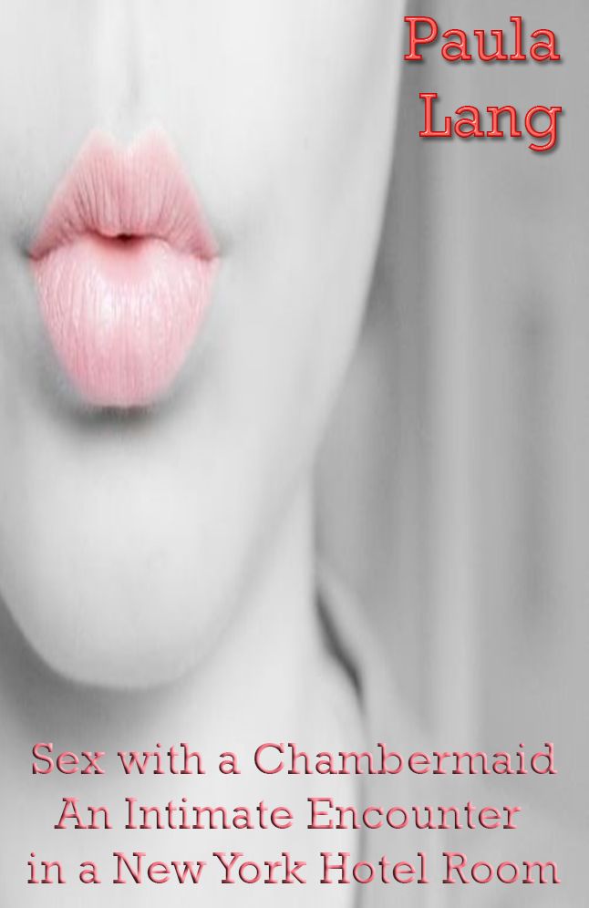 Sex with a Chambermaid An Intimate Encounter in a New York Hotel Room