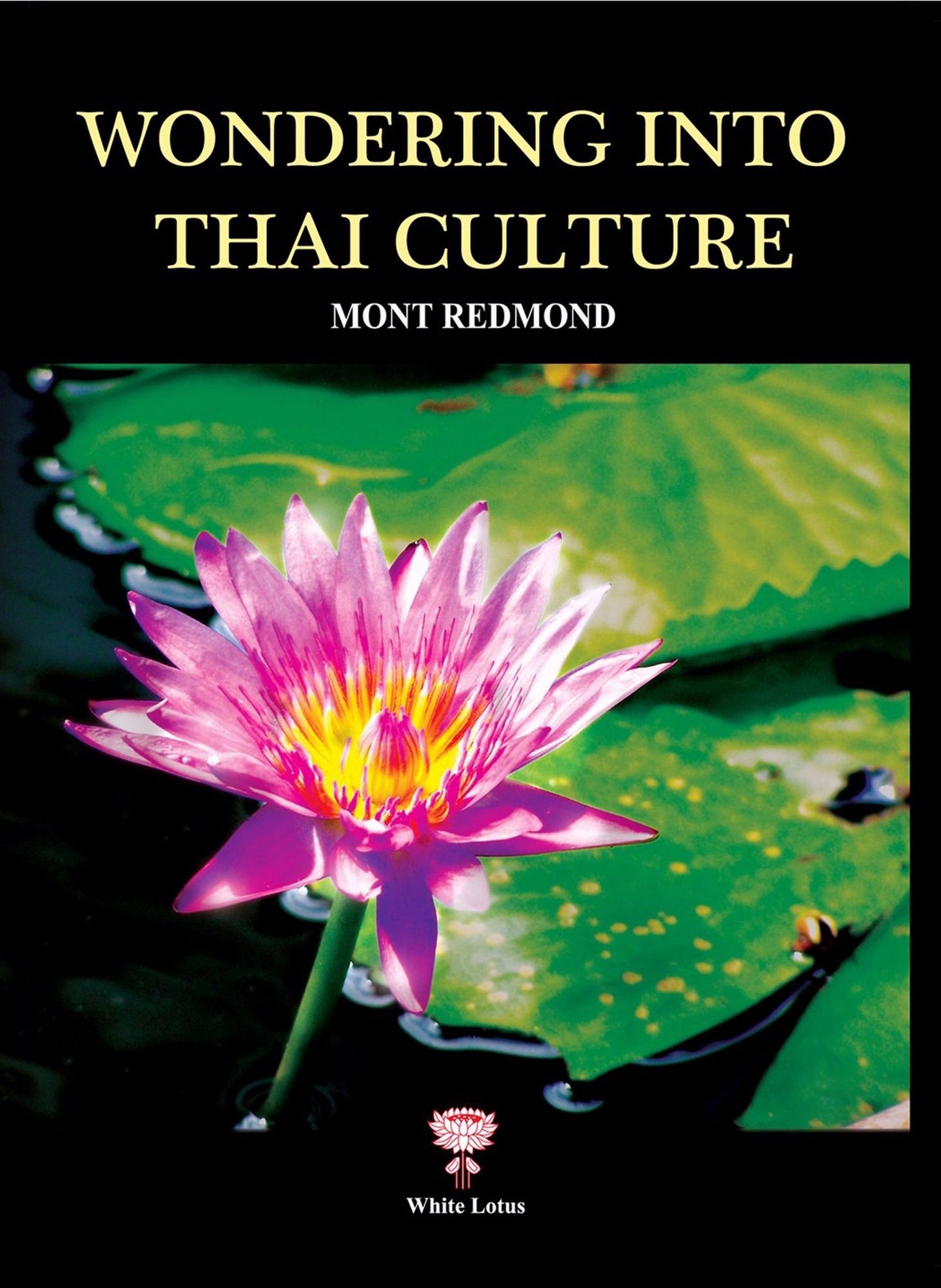 Wondering into Thai Culture