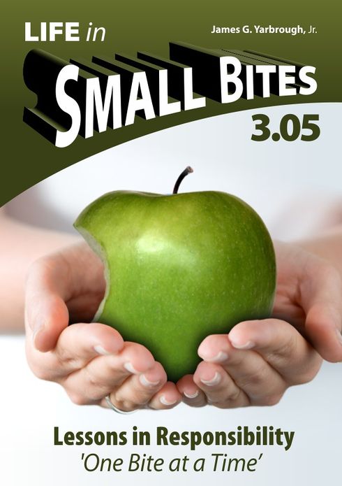 Life in Small Bites: 3.05 Responsibility