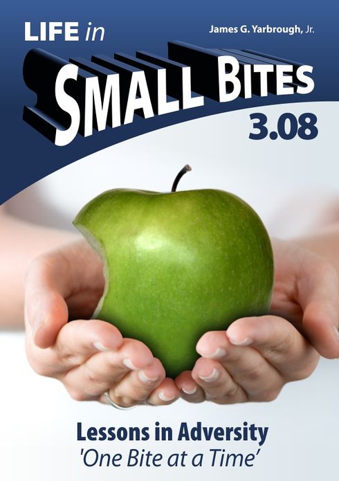 Life in Small Bites: 3.08 Adversity