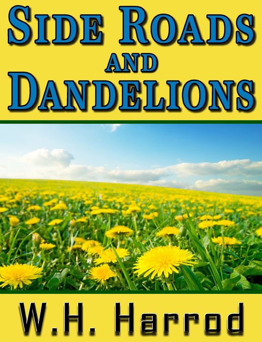 Side Roads and Dandelions