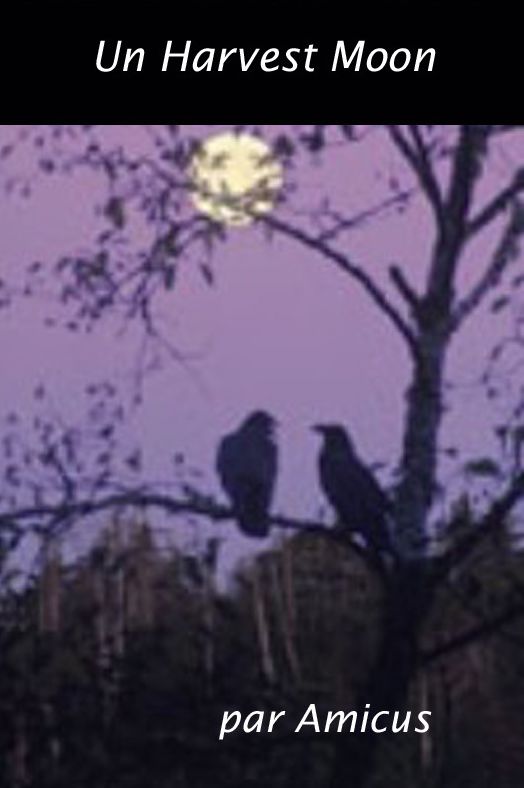 Harvest Moon