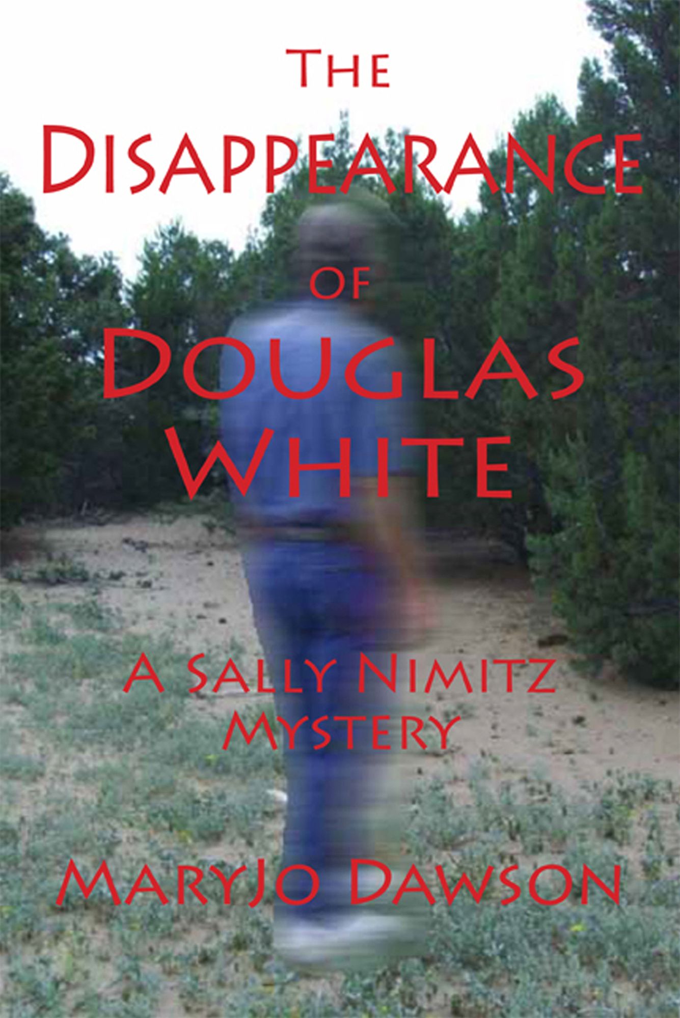 The Disappearance of Douglas White: A Sally Nimitz Mystery (Book 2)