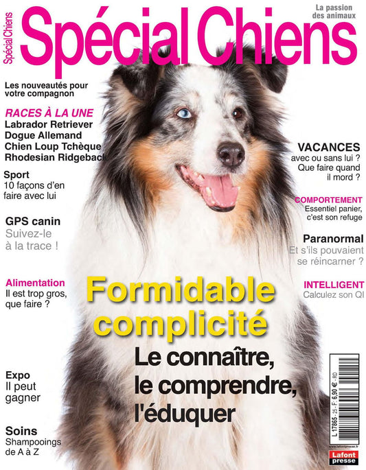 SPECIAL CHIENS - May-July 2014