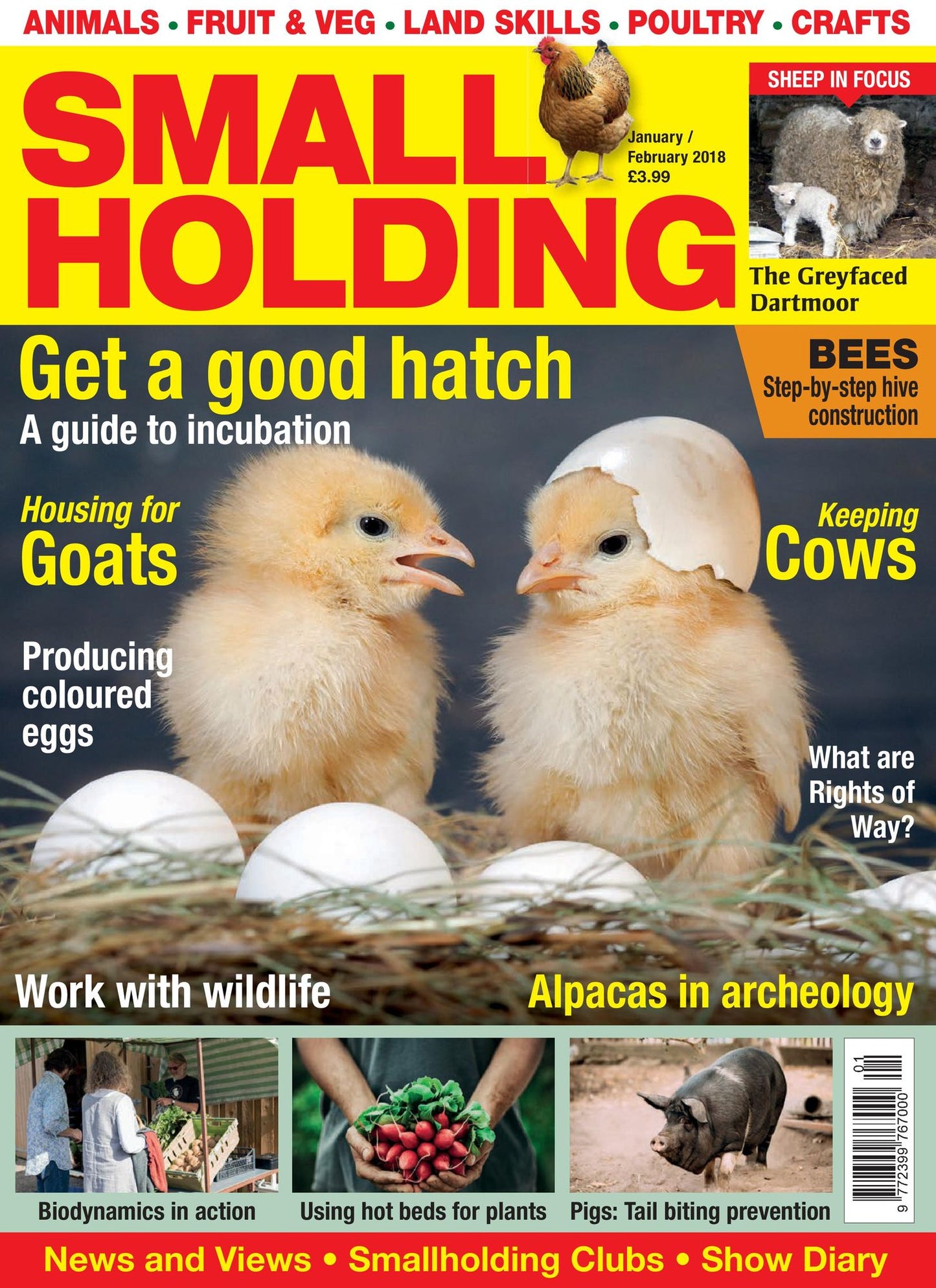 Small Holding - January-February 2018