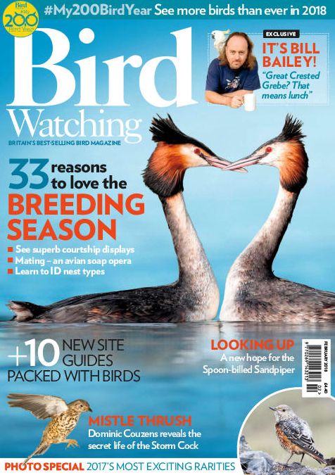Bird Watching - February 2018