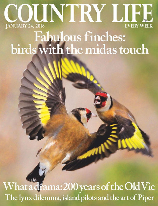 Country Life - UK edition - 01/24/18