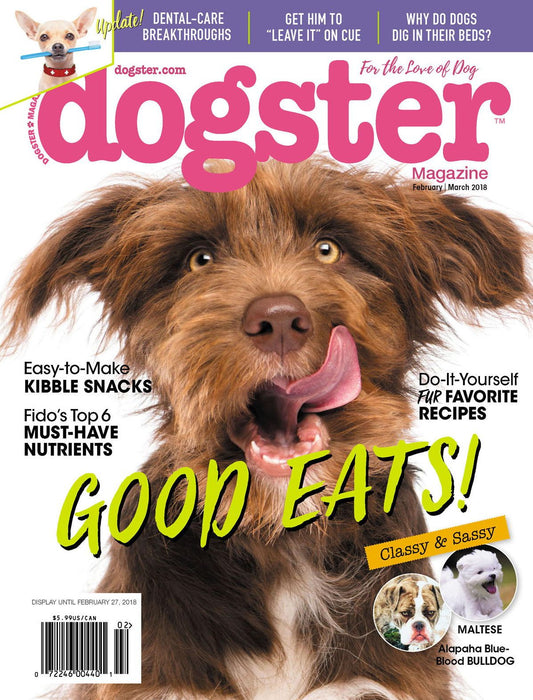 Dogster - February-March 2018