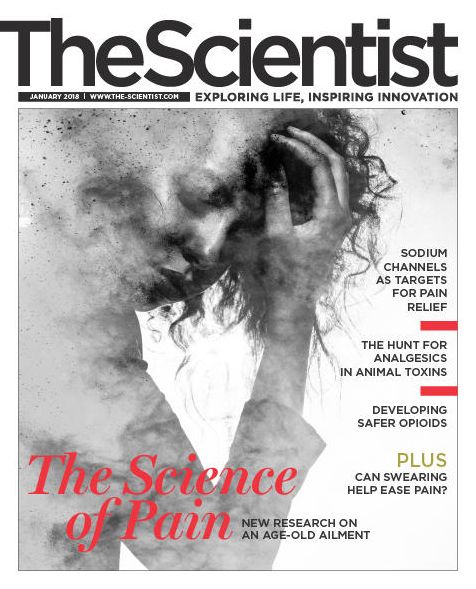 Scientist - January 2018